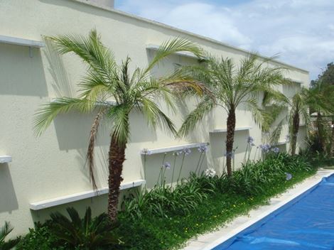 Paisagismo Corporativa em São José dos Campos